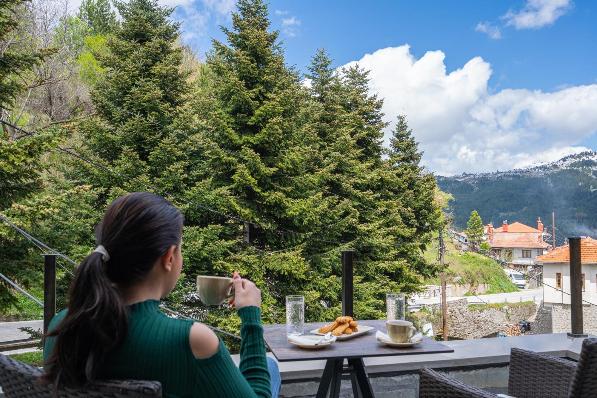 Floara Di Munte Forest Luxury Suites Métsovo Eksteriør bilde